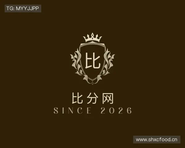 了解比分网